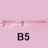 B5
