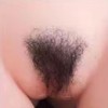 あり#1