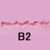 B2