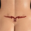 Lower Back No.1