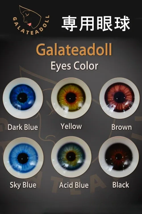 Galateadoll ラブドール 専用眼球 アイ 1セット売りEYES 目