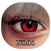 NO.14