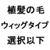 植髪の毛（ウィッグタイプ）
