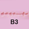 B3