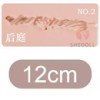 12cm