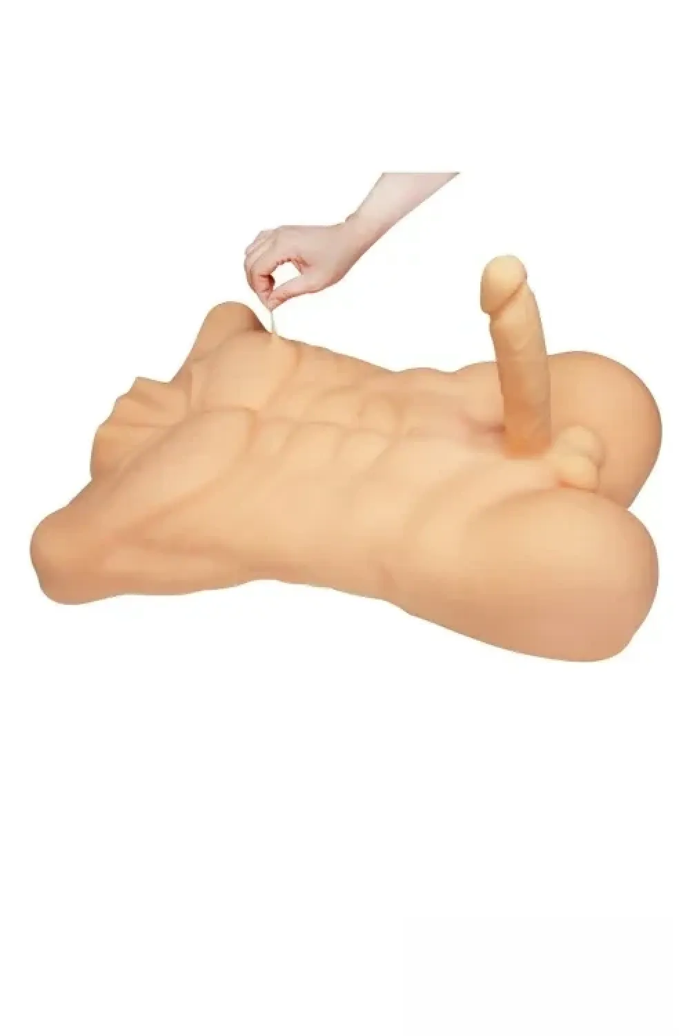 DL DOLL (ZY3シリーズ) 60cm柔らかいTPE製 男性トルソーセックス人形 女性向け 半身ラブドール ペニス20cm ノーマル肌